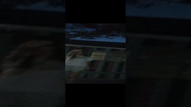 ночь на даче смотреть онлайн