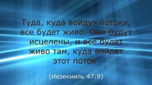 ✅ 101 стих из Священного Писания об исцелении ?