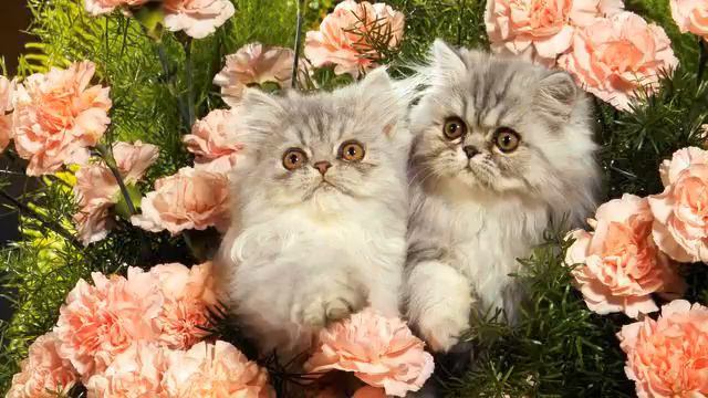 Русская поп музыка. Невероятное видео. Ничего не... смотреть онлайн