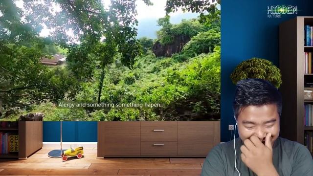Hidden nature react inglish maker video|Todey I'm monkey hapen video reaction смотреть онлайн