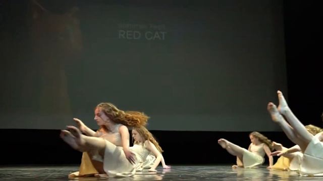 Жить - Танцевальный коллектив «Индиго» | RED CAT - Summer Fest смотреть онлайн