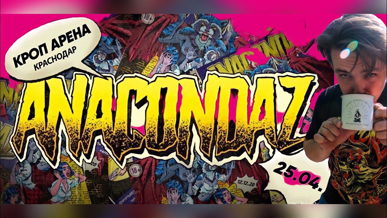 Видᴇоблог Конечно Вася Концерт  Anacondaz с презентацией нового альбома Перезвони мне +79995