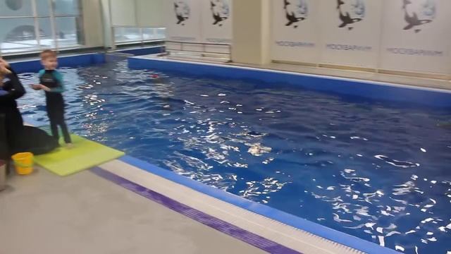 Дельфинотерапия в Москвариуме! игра с дельфинами смотреть онлайн