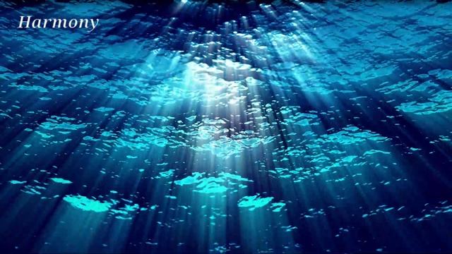 Choirs, Zen, water, relaxation, nature, percussion, meditation, bass ... смотреть онлайн