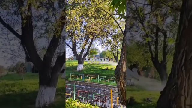 САМЫЕ зеленые горы Узбекистана и САМЫЕ вкусные шашлыки Заамина #узбекистан #ташкент #экскурсии смотреть онлайн