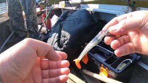 Троллинг на Волге. Ловим щуку.