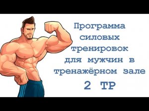 Программа силовых тренировок для мужчин в тренажёрном зале (2 тр)