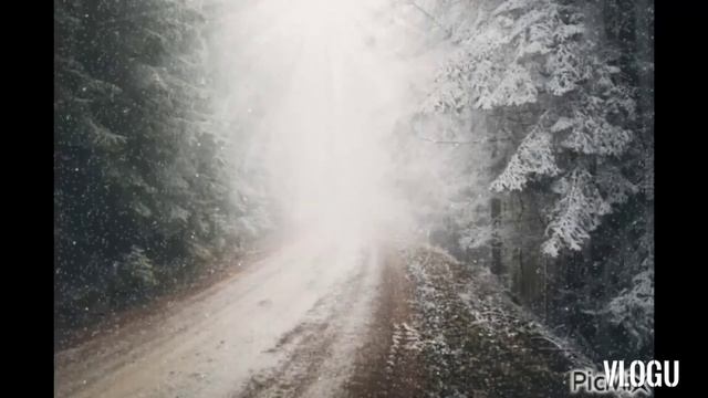 Утро туманное ,утро седое . Караоке. смотреть онлайн
