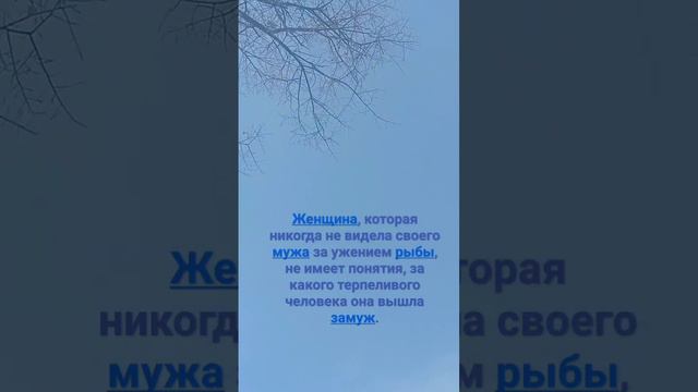 Психология рыбака. Афоризмы про рыбалку. #природа #рыбалка #fisher #река #рекомендации #лес #реки смотреть онлайн