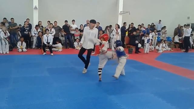 Тхэквондо спаринг Данияр 7лет (Taekwondo sparing Daniyar 7 years old) смотреть онлайн