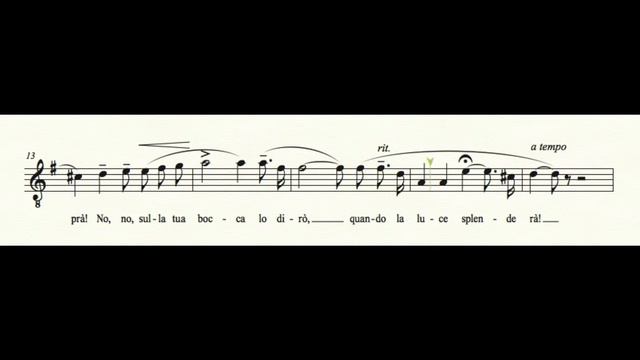 Nessun Dorma Karaoke (real orchestra + music sheet) смотреть онлайн