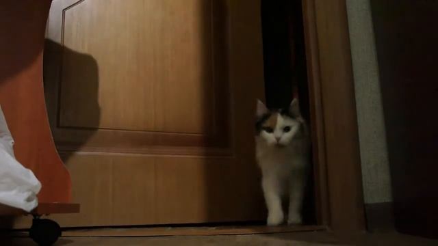 Тыры ты ты пыц пыц смотреть онлайн