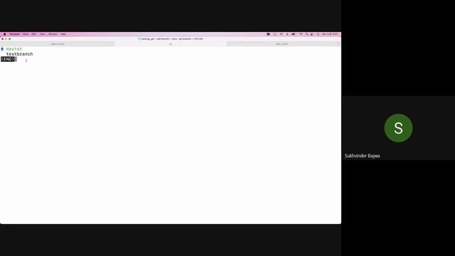 Day 11 - 100 Days of DevOps Interview - Introduction to Git Branching - Part 1 смотреть онлайн