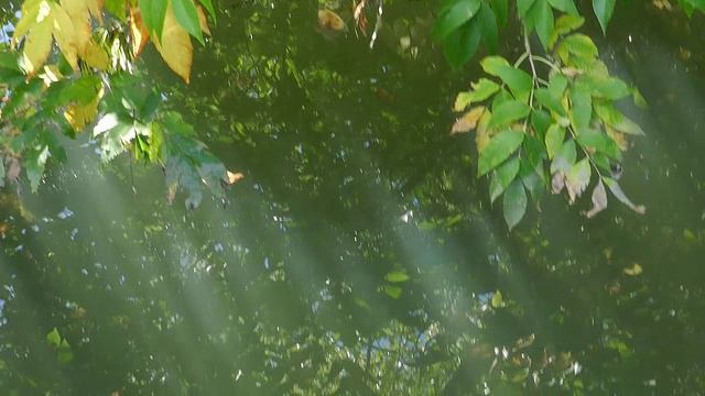 У водоема_ смотреть онлайн