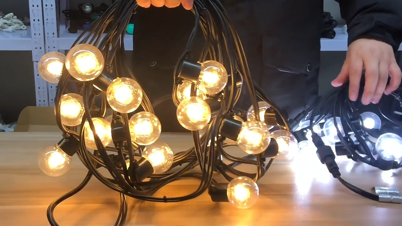 Wendadeco Holiday Christmas Decorations Festoon Lights