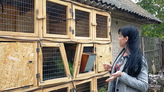 НОВАЯ КЛЕТКА ДЛЯ КРОЛИКОВ//РАЗВЕДЕНИЕ КРОЛИКОВ