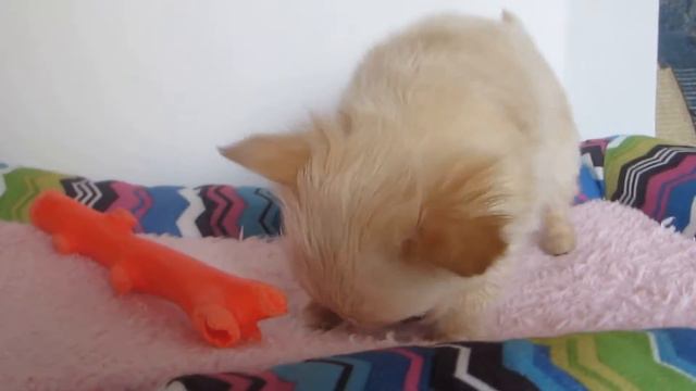 мальчик дл/ш Зарезервирован смотреть онлайн