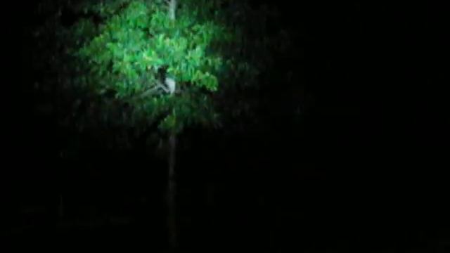 dontgethit.com 10 WATT 900 Lumen LED Flashlight смотреть онлайн