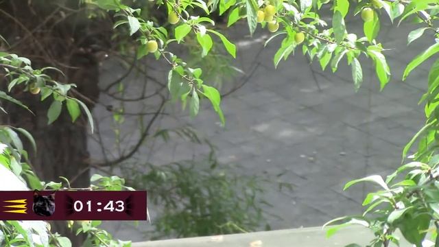 Форт Боярд Россия 2018 – Бросок (02.08.2018) смотреть онлайн