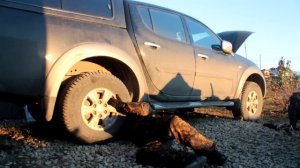 Шприцевание крестовин кардана Mitsubishi L200