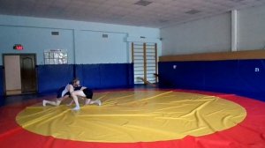 Грекоримская против Вольной борьбы