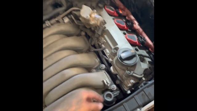 Tune up on Audi s5 2012 by rudeboyzcustom смотреть онлайн