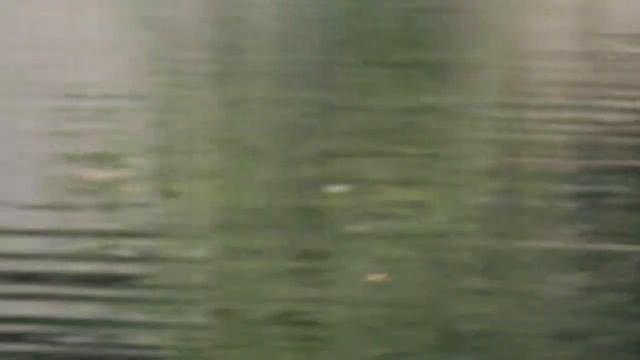 Андреевские пруды - Перезагрузка (Часть 1) смотреть онлайн