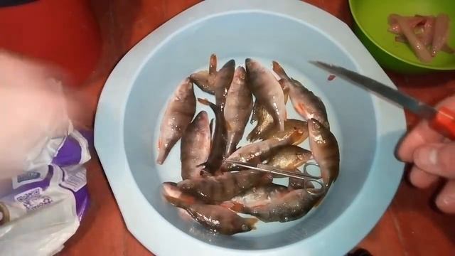 КАК ПОЧИСТИТЬ МАЛЕНЬКОГО ОКУНЯ смотреть онлайн