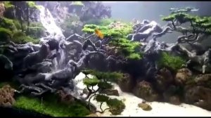 Подборка из 10 лучших водопадов в аквариуме.