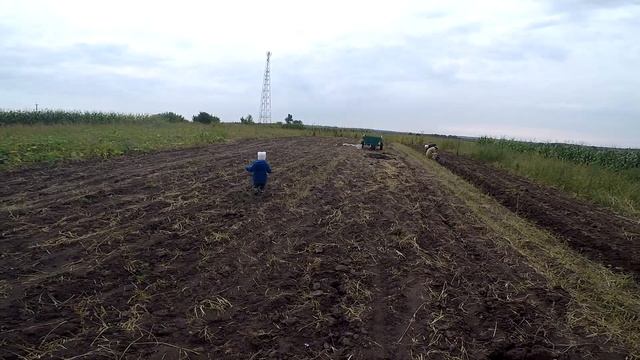 Копаємо картоплю.Ледве не порвали міні-трактор.Сухо просто ЖАХ/Чуть не порвали мини-трактор смотреть онлайн