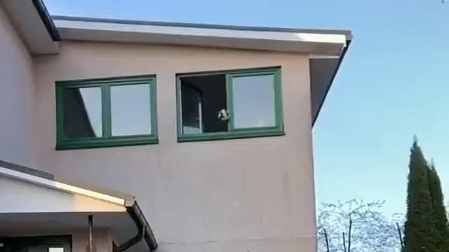 Не повезло смотреть онлайн