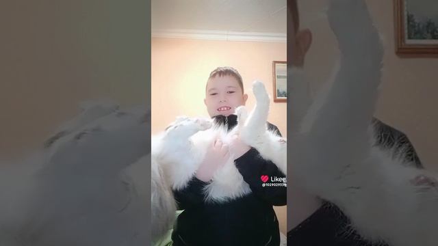 Like_7343040187672298057.mp4