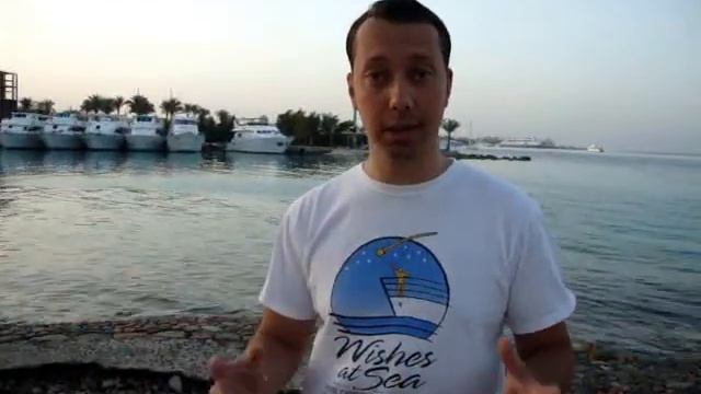 Морская Школа Предпринимателей смотреть онлайн