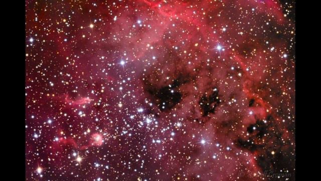 1130.НОВЫЕ СВЯТЫЕ ПИСАНИЯ. РЕЛИГИОЗНЫЕ ВЫСКАЗЫВАНИЯ. 201-250. смотреть онлайн