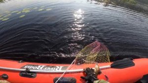 ЯМАХА 9.9 с Лодкой ПВХ RIVER BOATS 430 и Рыбалка в КАРЕЛИИ