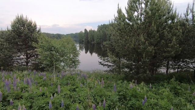 ВЫЕЗД НА ПРИРОДУ # БАЗА ОТДЫХА ДОМ РЫБАКА «МОРОЗОВСКИЙ» смотреть онлайн