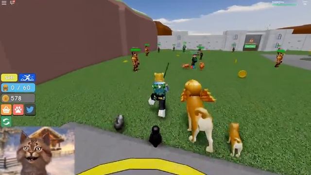 I Got a Legendary Dominus Pet in Roblox Warrior Simulator смотреть онлайн