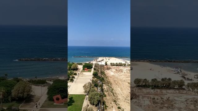 День независимости Узбекистана смотреть онлайн