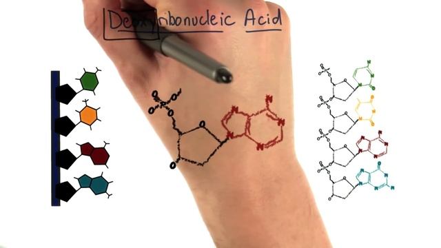 Nomenclature - Tales from the Genome смотреть онлайн