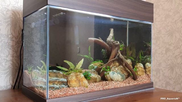 Мутная вода в новом аквариуме (Заметки для начинающего аквариумиста ) смотреть онлайн