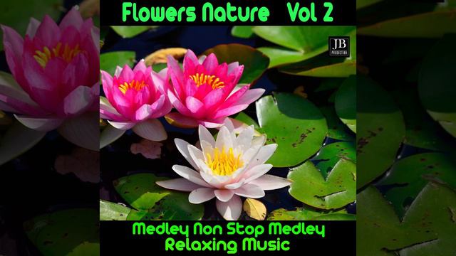 Flowers Lounge Medley 2: Begonia / Ciclamino / Guzmania / Azalea / Ortensia / Hibiscus /... смотреть онлайн