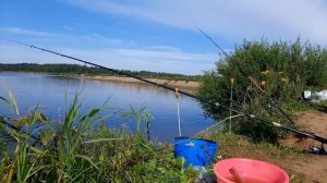 Рыбалка в Рыбхозе  "Раково". Заезд №3. Карась.Карп.Хорошая погода. Ловля на пенопласт..