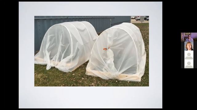 Seed Starting Indoors (Marion Cain - Master Gardener) смотреть онлайн