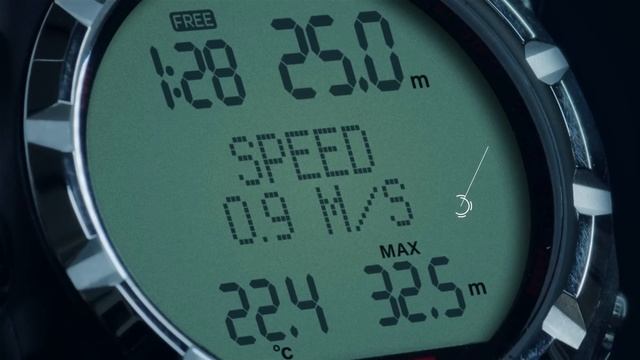 Seac Apnea And Apnea HR