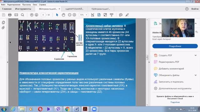 Гомологичные хромосомы Их классификация по плечевому индексу смотреть онлайн
