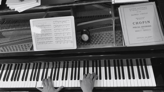 Bach - Siloti : Prelude in B minor смотреть онлайн