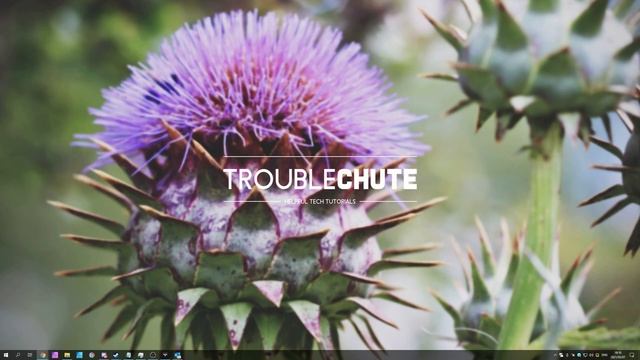 Fix: Error 0x426-0x0 | Microsoft Office 365, 2019, 2017 Etc