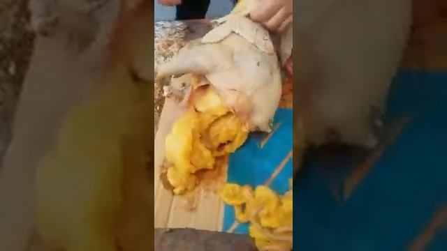 Очень жирная курица ? смотреть онлайн