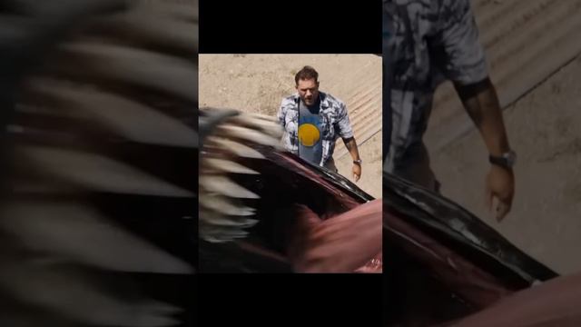 Нарезки лучших фильмов