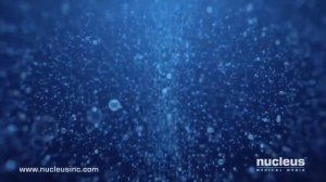 Оплодотворение яйцеклетки. 3D анимация